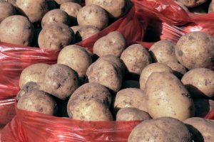 kazpulse-1768402759-OxWnvnp0