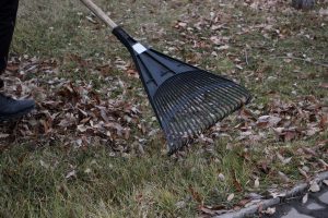 kazpulse-1768390936-ANvyuToA