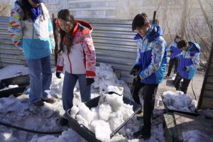 kazpulse-1768391594-kW3suFz1