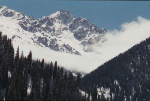 kazpulse-1768392717-lTexN79J