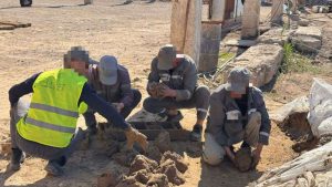 kazpulse-1768387187-Aa9t7mNh