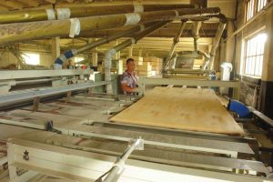 kazpulse-1768387974-FnQfu2oC