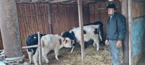 kazpulse-1768388891-21V9vCzZ