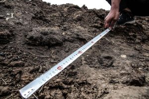 kazpulse-1768389654-90JDgV0d