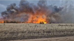 kazpulse-1768389768-VsNsx7oT