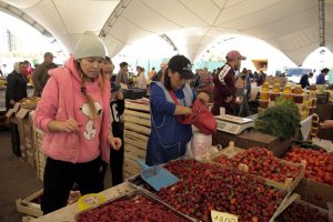 kazpulse-1768390256-V2haI2WS