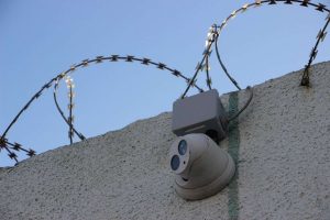 kazpulse-1768390519-MeCIkAc4