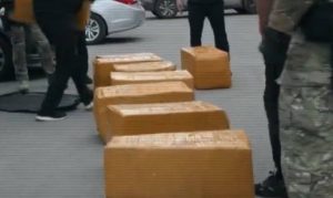 kazpulse-1768407320-siTVgQZx