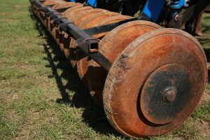 kazpulse-1768407379-tzjAMnuG