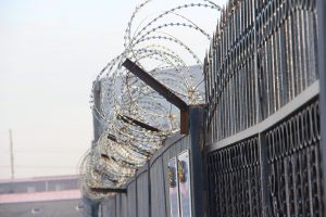 kazpulse-1768407392-dQ2qMU3f