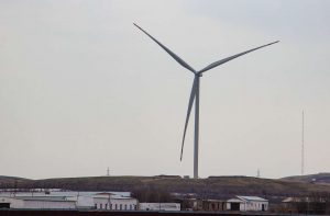 kazpulse-1768407521-XyYYRHYF