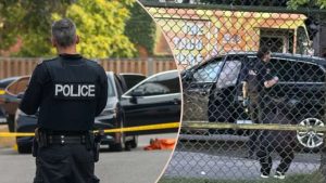 kazpulse-1768408131-lFF97RGL