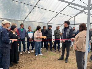 kazpulse-1768400960-9fIaCNuY