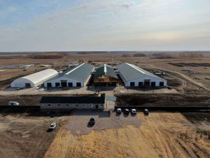 kazpulse-1768401094-K3Po4sTv