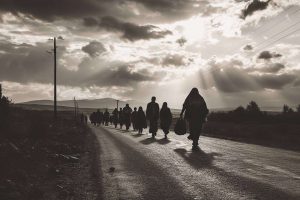 kazpulse-1768404238-jSbUNR0P