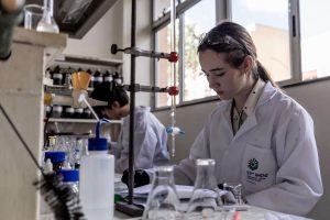 kazpulse-1768404329-S4TFbQN4