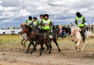 kazpulse-1768405215-ZXYL7fPW