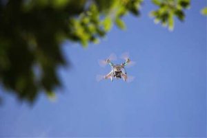 kazpulse-1768405397-CVMRKGxq