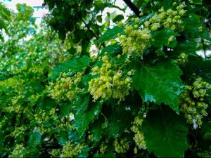 kazpulse-1768405530-aUK72MF8