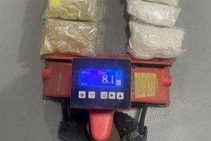 kazpulse-1768406503-rqLrMmMB