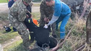 kazpulse-1768406575-TO8HkdB7