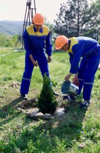 kazpulse-1768406608-wjISS4KA