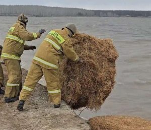 kazpulse-1768406661-H9VMxjEJ