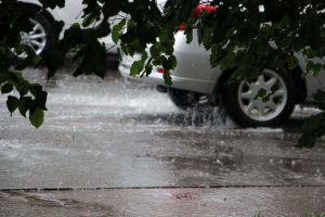 kazpulse-1768407065-KARmrVIs