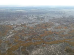 kazpulse-1768393583-Skz0Bp7J