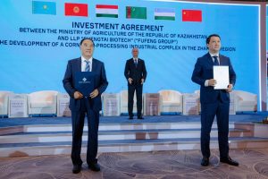 kazpulse-1768395190-bI0TCWdP