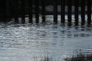 kazpulse-1768395928-uAuGOeQH