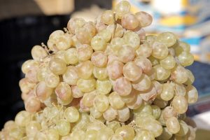 kazpulse-1768396048-CJCtUb5k