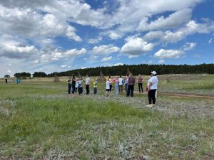 kazpulse-1768397632-FGHxAe6n