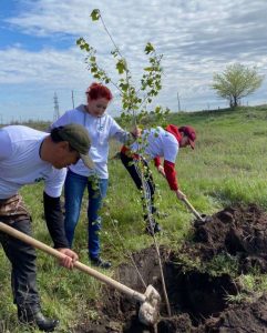 kazpulse-1768397890-GB3G62Ui