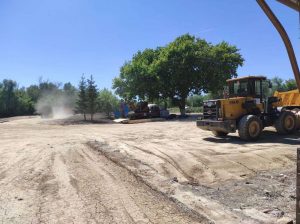 kazpulse-1768398171-zwMTOZ1M