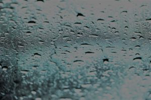 kazpulse-1768398635-rZwMjjp2