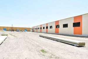 kazpulse-1768398761-M8Ljx037