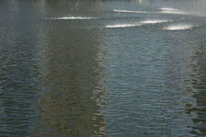 kazpulse-1768388566-2cnyOrsC