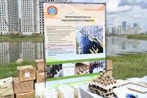 kazpulse-1768388597-OtLUGwu6