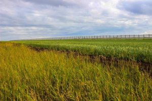 kazpulse-1768388687-eZnbAsq2