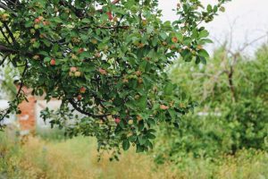 kazpulse-1768388699-zpOSqO3Q