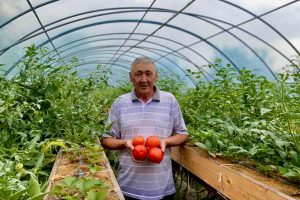 kazpulse-1768388703-UdxxEysH