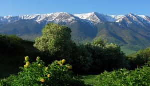 kazpulse-1768388827-8h3qosTV