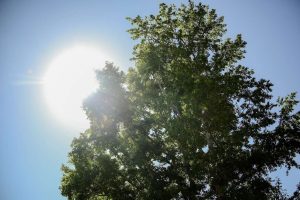 kazpulse-1768389686-ttl6hNgE