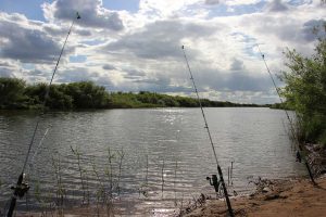 kazpulse-1768390144-5pqk0nMl