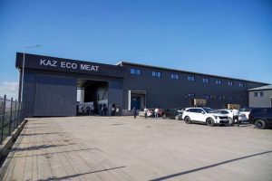 kazpulse-1768390796-o8MwP9Kh