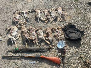 kazpulse-1768395819-lK8awgzo