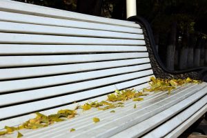 kazpulse-1768396700-UIno3VhF