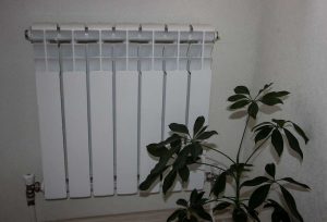 kazpulse-1768397354-SNksLEYr