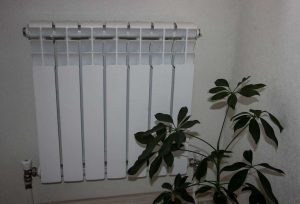 kazpulse-1768397746-fbLidzbd